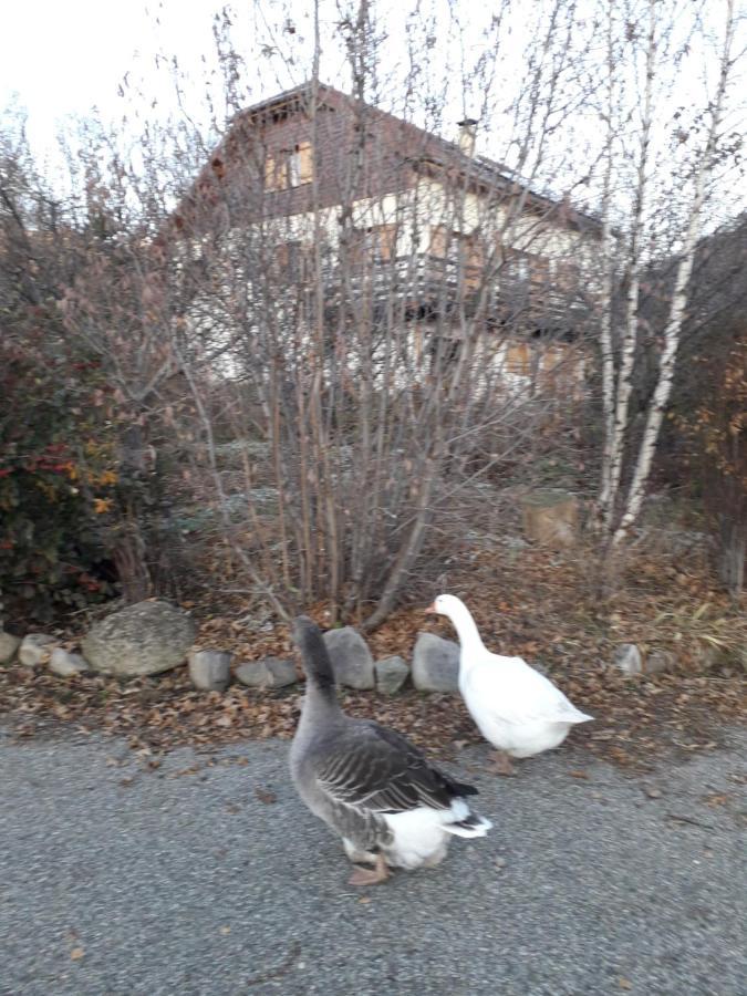 Petit Appartement En Montagne Saint-Julien-en-Champsaur Eksteriør bilde